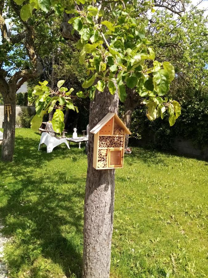 O Douceurs Sucrees Bed & Breakfast Cabourg